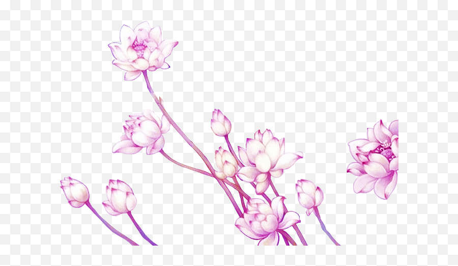 Anime Drawn Flowers Elements PNG Image And Clipart Image For Free Download  - Lovepik | 400214708