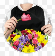 Floristu0027s Choice Daily Deal Png Florals