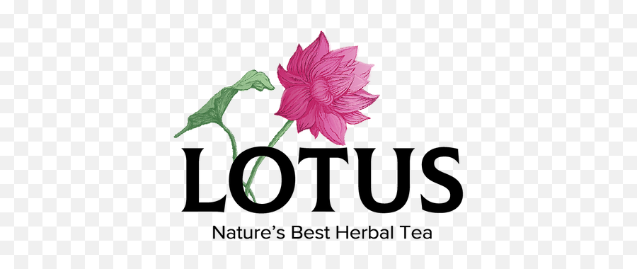 Lotus Herbal Tea Contact Us - Lotus Logo Png,Lotus Logo Png