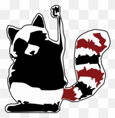 Download Raccoon Coon Racoon Animal Fighting Fist - Rebel png
