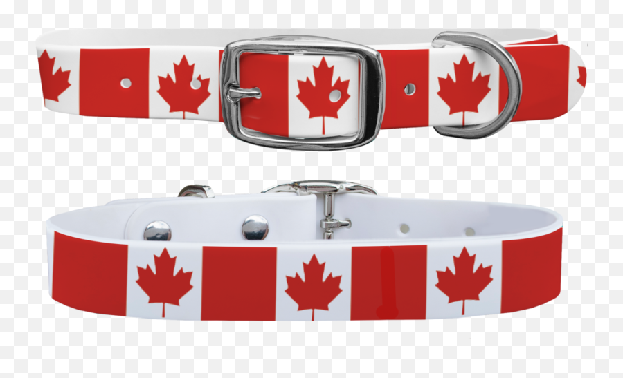 Canada Maple Leaf Dog Collar - Belt Png,Canada Maple Leaf Png