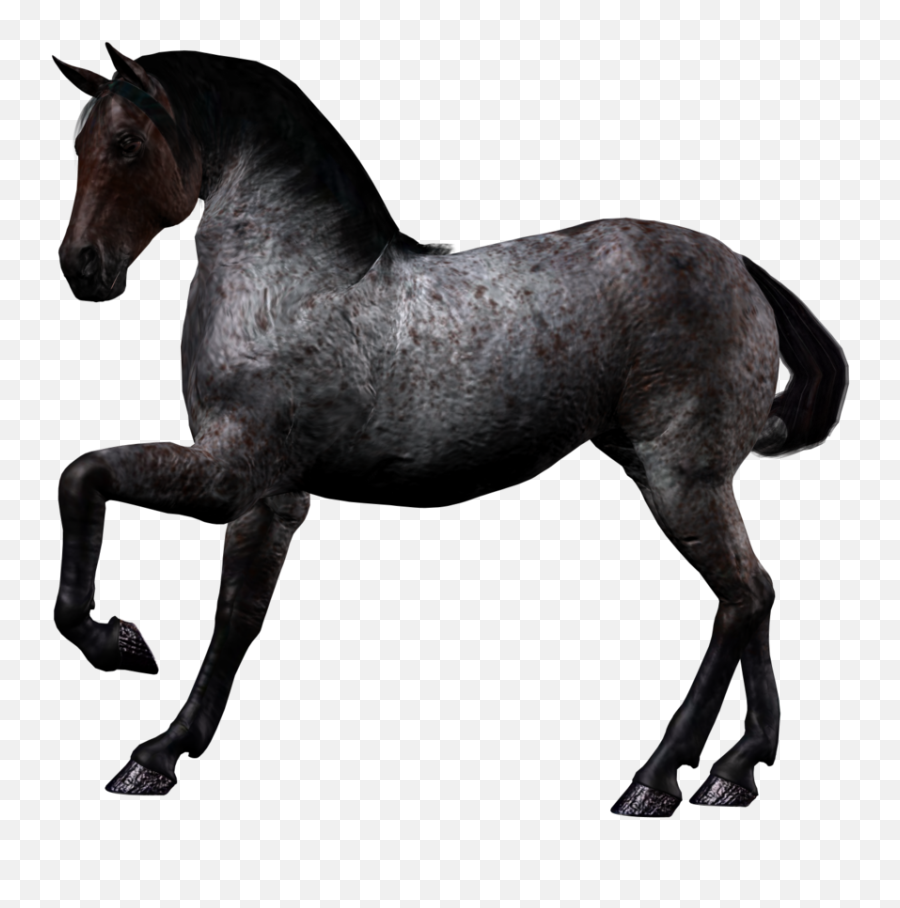 Horse Png Image Free Download Picture - Horse 3d Png,White Horse Png