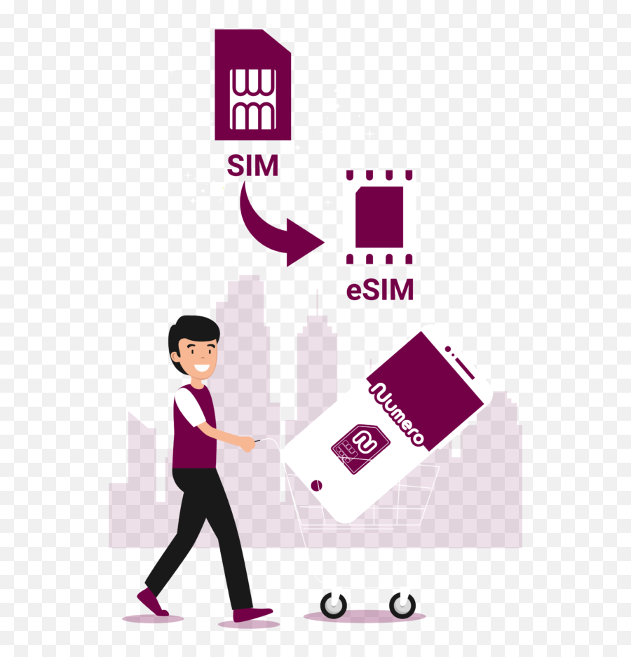 Sim Vs Esim What Is The Difference - Numero Esim App Smart Device Png,Micro Sim Card Inseted Icon