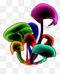 Magic Mushrooms Psd Official Psds - Trippy Mushroom Transparent Background Png,Psychedelic Png