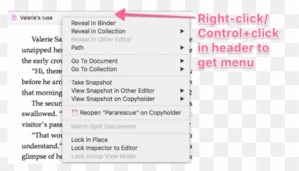 Editor Settings U2013 Scrivener Classes Png