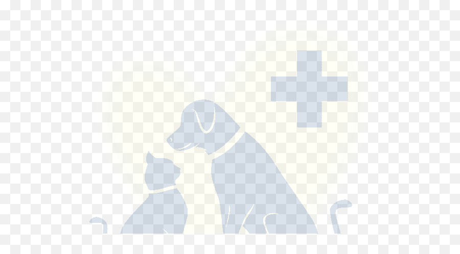 Contact Abbey Vet Hospital L In Antioch - Dog Png,Happy Sad Dog Png Icon