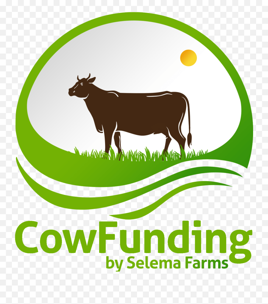 Faqs U2013 Cowfunding By Selema Farms - Dairy Cow Png,Cow Logo