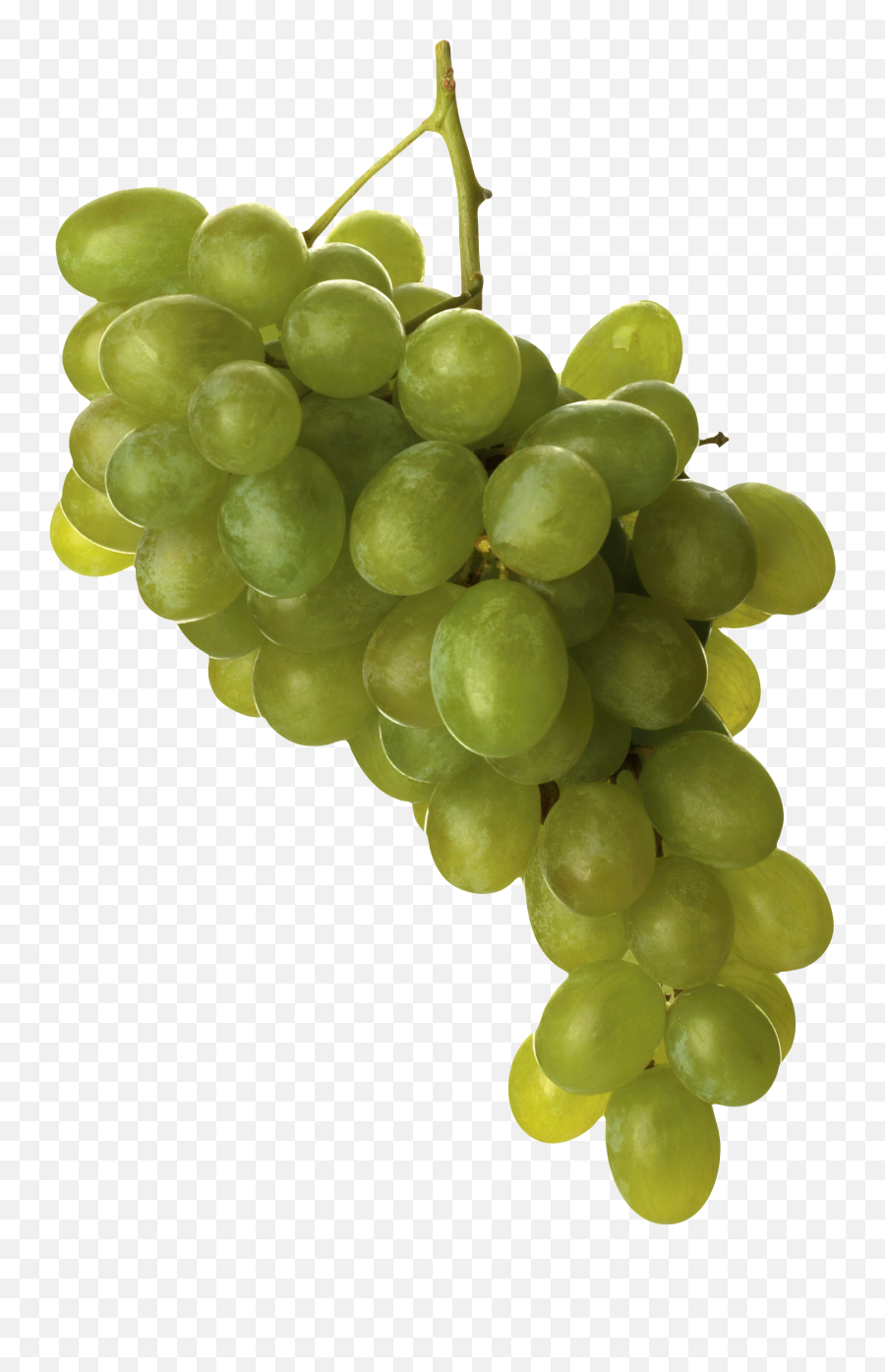 Grapes Png Image - Png,Grapes Png