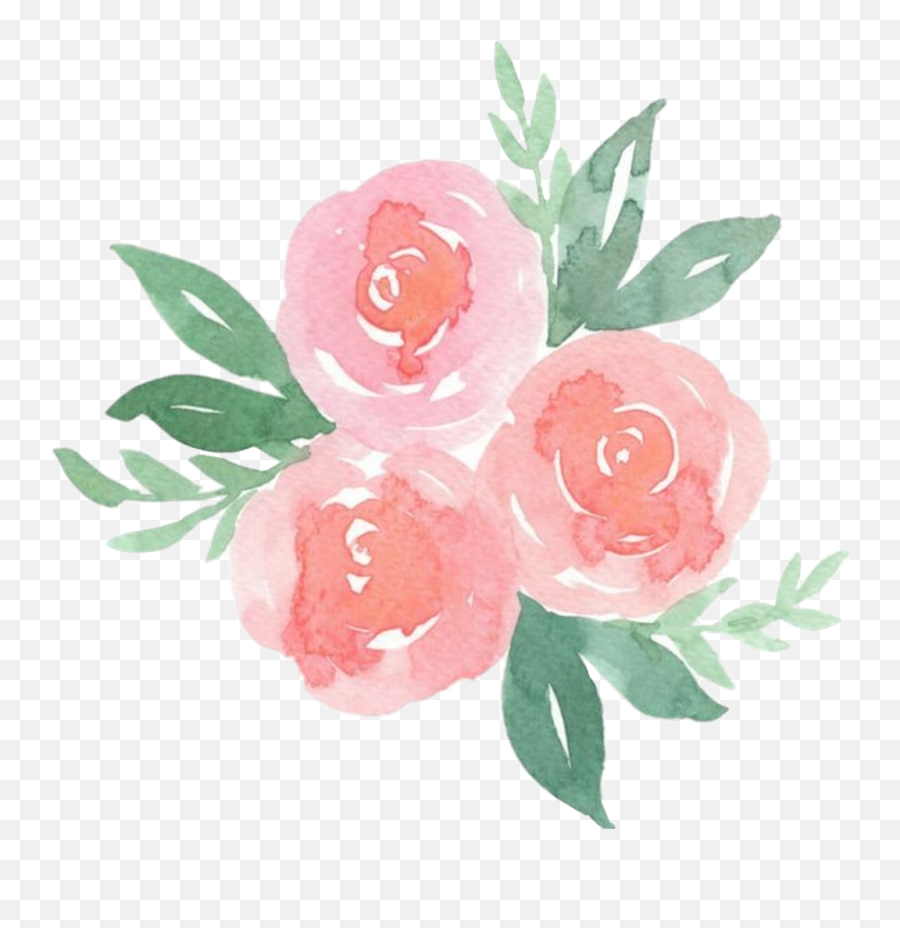 Scrose Rose Cute Aesthetic Pastel - Do Watercolor Flowers Png,Pastel Flowers Png
