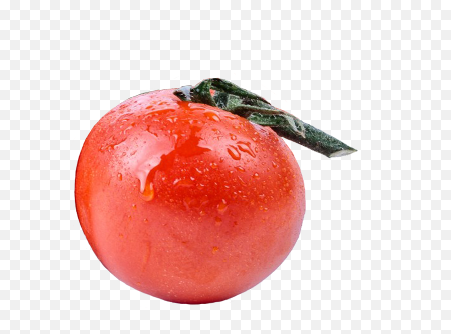 Vegetables Clipart - Plum Tomato Png,Tomato Slice Png