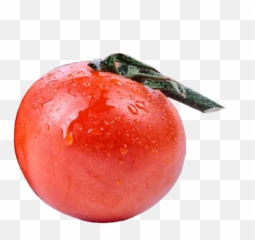 Vegetables Clipart - Plum Tomato Png,Tomato Slice Png