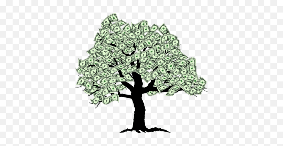 Money Tree System - Low Hanging Fruit Gone Png,Money Tree Png