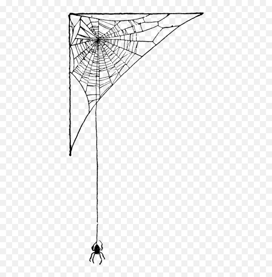 Download Hd Spider Web Art Pretty Png - Spider Web In Corner,Spider Web Png