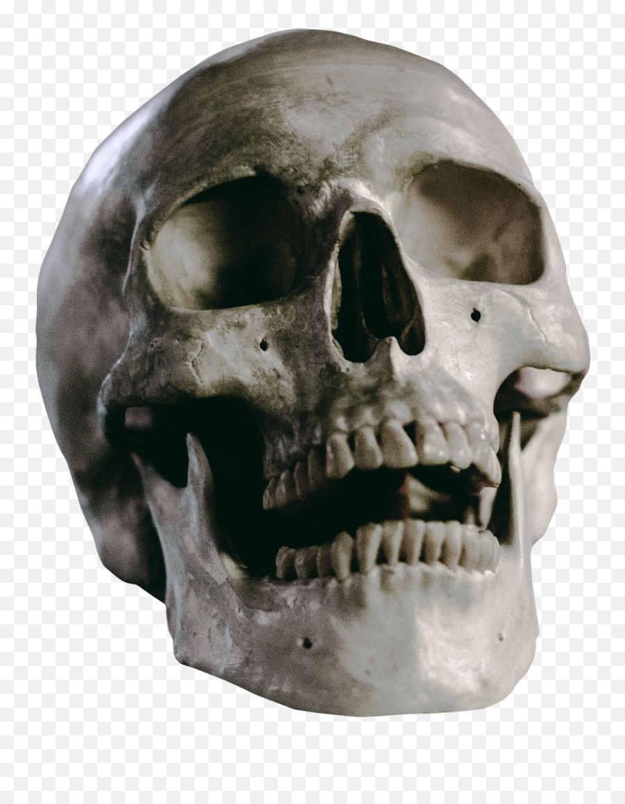 Skull Skeleton Head Death Human - Png Horror Face Skeleton,Pile Of Skulls Png