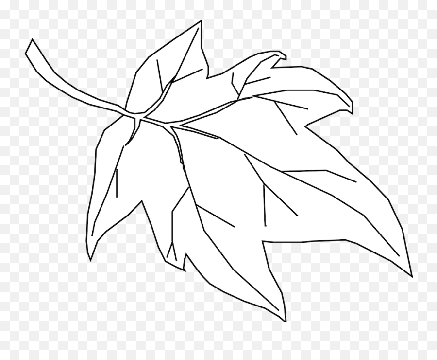 Maple Leaf Outline - White Leaf Outline Png,Leaf Outline Png