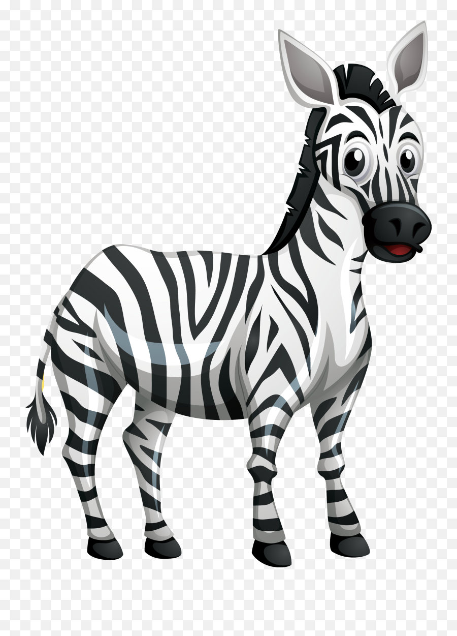 Baby Zebra Cartoon Png Free Download - Baby Zebra Cartoon Png,Zebra Png