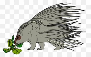 12 Free Porcupine Clip Clipart Clipartlook - Realistic Porcupine Clipart Png,Porcupine Png