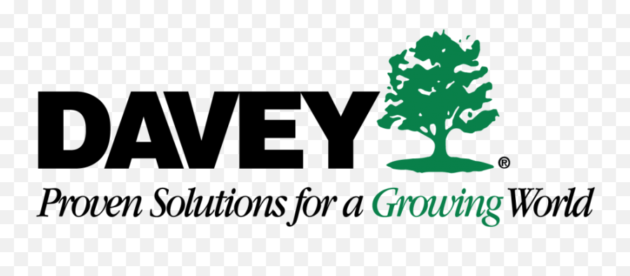 Davey Tree Logo - Main Street Kent Davey Tree Expert Co Png,Tree Logo Png