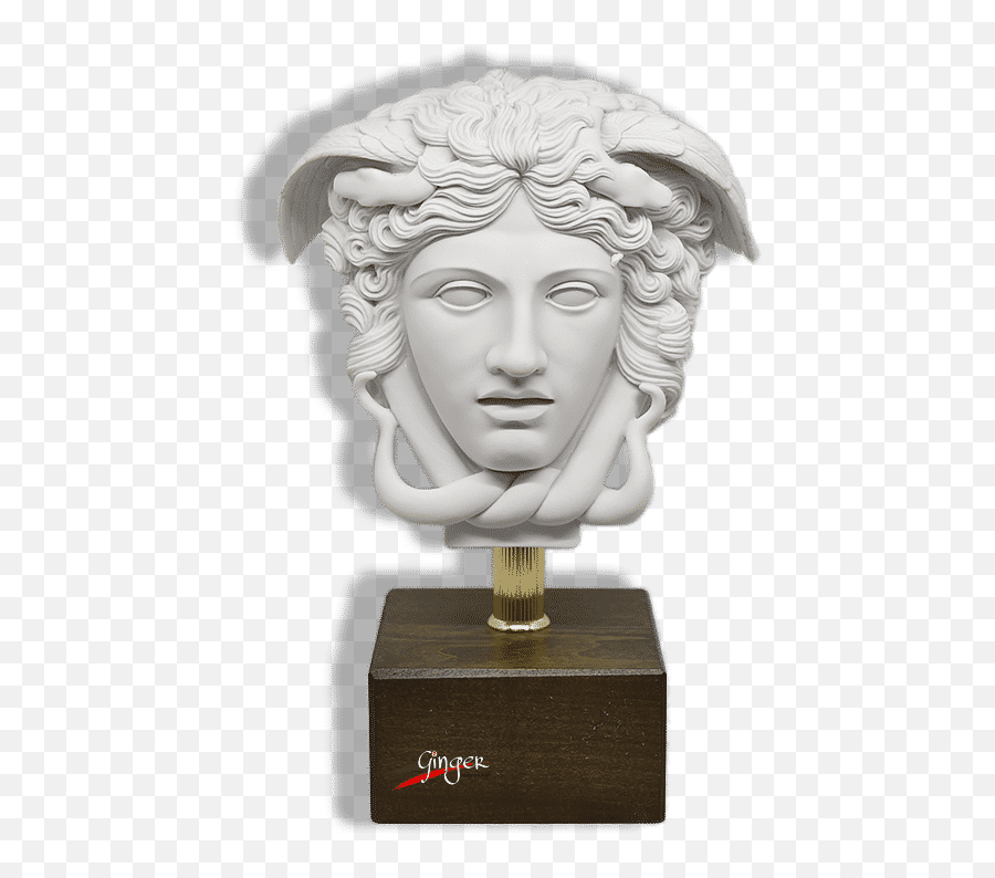 Medusa - Head With Wooden Base 29 Cm Ginger Shop Souvenirs Made In Italy Medusa Statua Png,Medusa Png