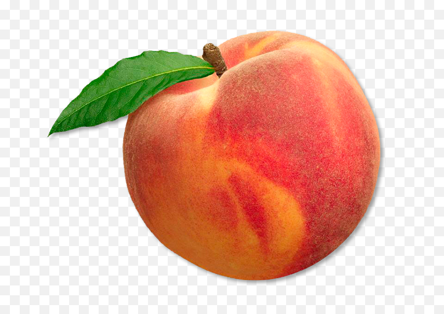 Transparent Peach Png - Peach Fruit,Peach Transparent Background