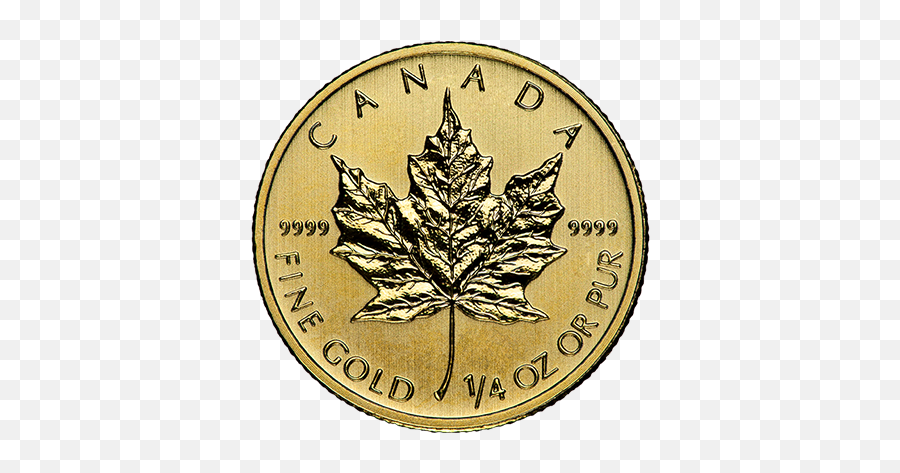 14 Oz Canadian Gold Maple Leaf U2014 Mint Buyers - 1 10 Oz Canada Gold Coin Png,Canadian Maple Leaf Png