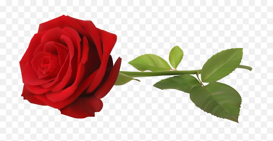 Rose Png Hd 2 Image - Rose Png,Rose Png Hd