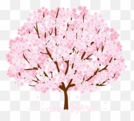 Cherry Blossoms Clipart - Girly png