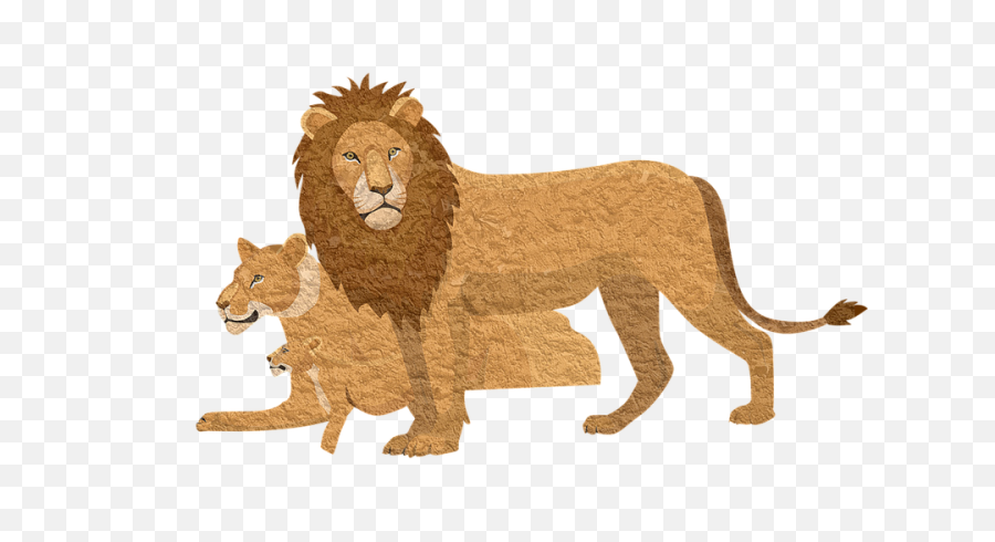 Download Hd Lion Pixabay Animal Lioness Vintage - Lion Cartoon Lion With Cub Png,Lion Transparent