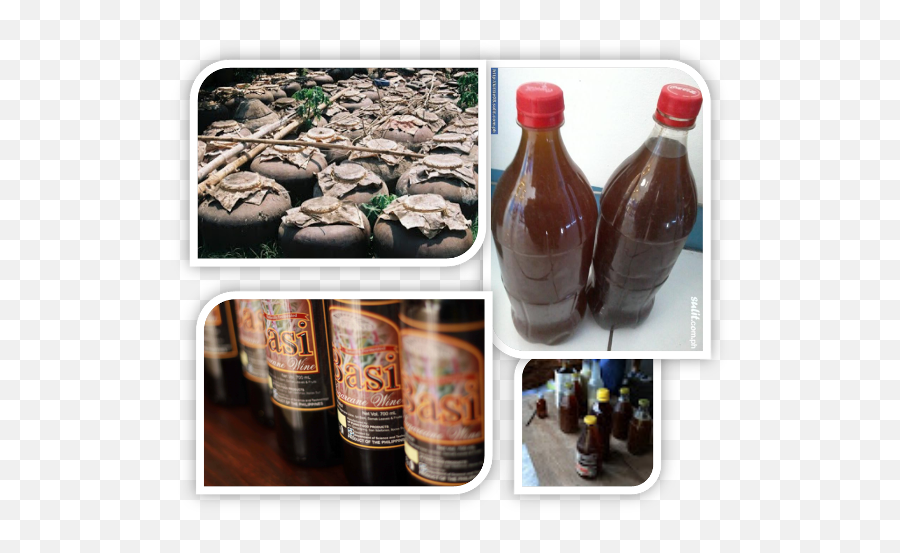 Major Sugarcane - Based Products In Abra Abrau0027s Sugarcane Glass Bottle Png,Sugarcane Png