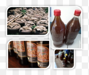 Major Sugarcane - Based Products In Abra Abrau0027s Sugarcane Glass Bottle Png,Sugarcane Png