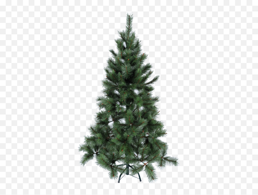 Christmas Tree Scandinavian Pine - Star Trading Brad Artificial Caucazian Png,Pine Branch Png