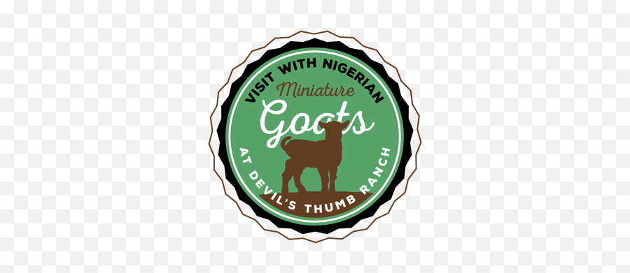 Visit The Nigerian Mini Goats - Gift Png,Icon Of The Visitation