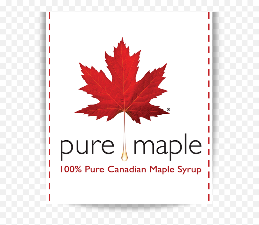 Canadian Maple Syrup - Pure Maple Remembrance Day Wallpaper Canada Png,Canada Maple Leaf Png