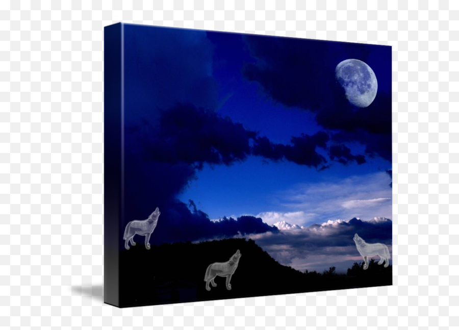 Gray Wolf - Wolves Howling At The Moon Png,Moonlight Png