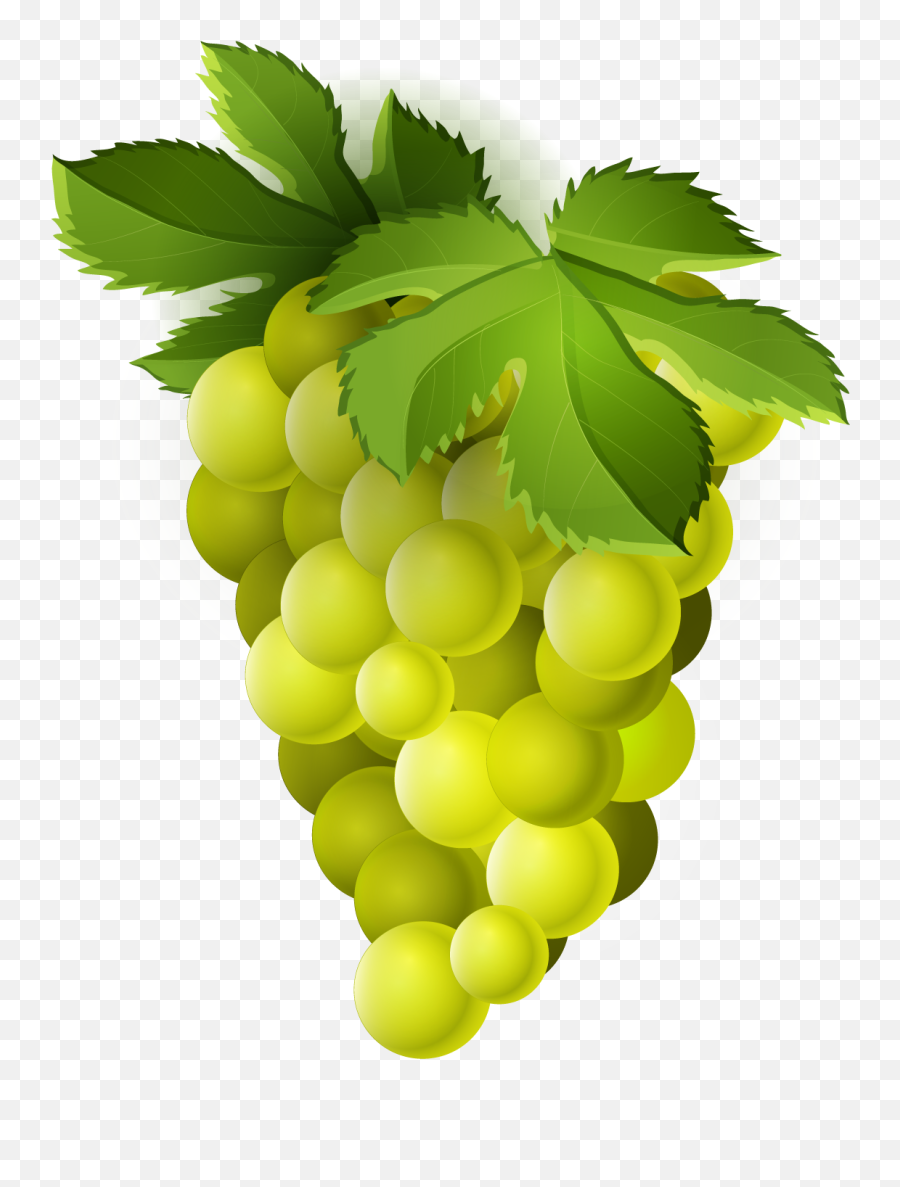 Green Grapes Fruit Clipart Png - Grapes Png Clipart,Grapes Png