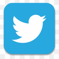 Twitter Logo Png Transparent Background - Icon Png Box