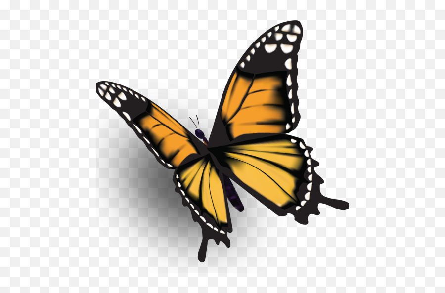 Cropped - Ffbbutterflypng U2013 Fairfield Bay Conference Center Monarch Butterfly,Monarch Butterfly Png