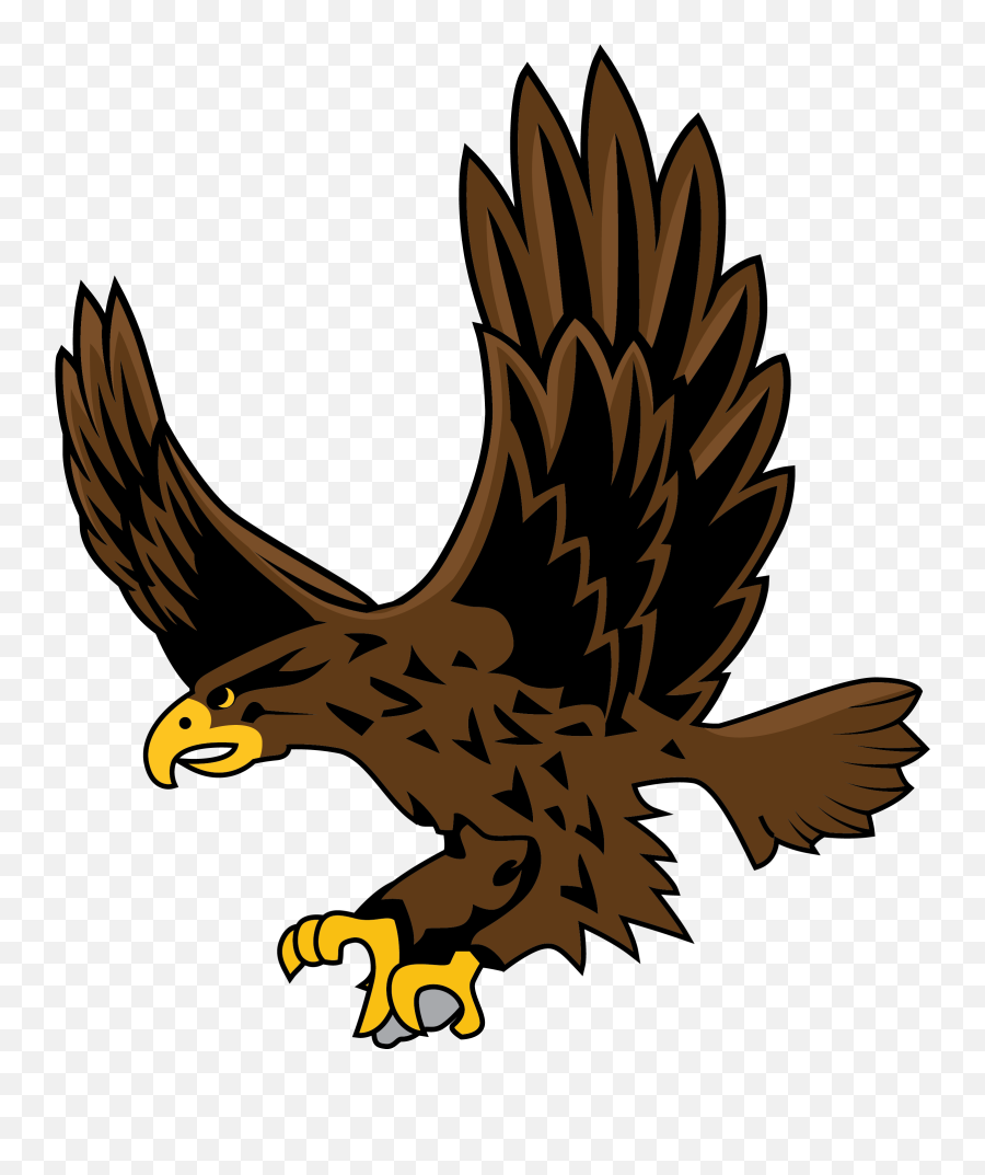 Team Home Madison Plains Golden Eagles - Madison Plains Png,Golden Eagle Png