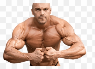 5 Best Supplements Per Muscle Mass U2013 Ranking Aidsugandaorg - Muscle png