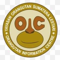 Donate Png Orangutan