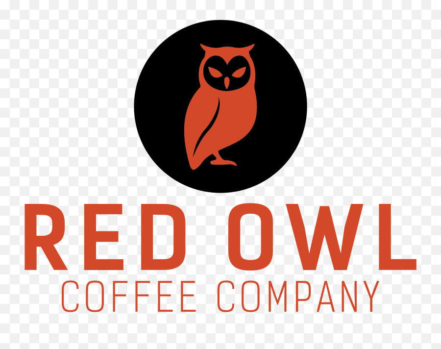 Original - Eastern Screech Owl Png,Owl Logo