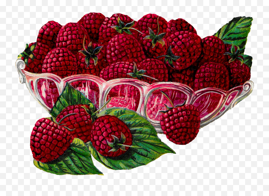 Royalty Free Raspberry Fruit Bowl Image - Vintage Bowl Of Fruit Illustration Png,Raspberries Png