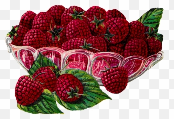 Royalty Free Raspberry Fruit Bowl Image - Vintage Bowl Of Fruit Illustration Png,Raspberries Png