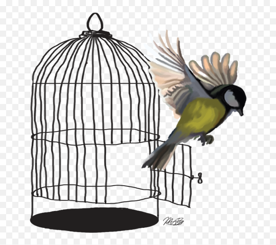 Caged Bird Transparent Background - Bird Flying Out Of Cage Drawing Png,Cage Transparent Background