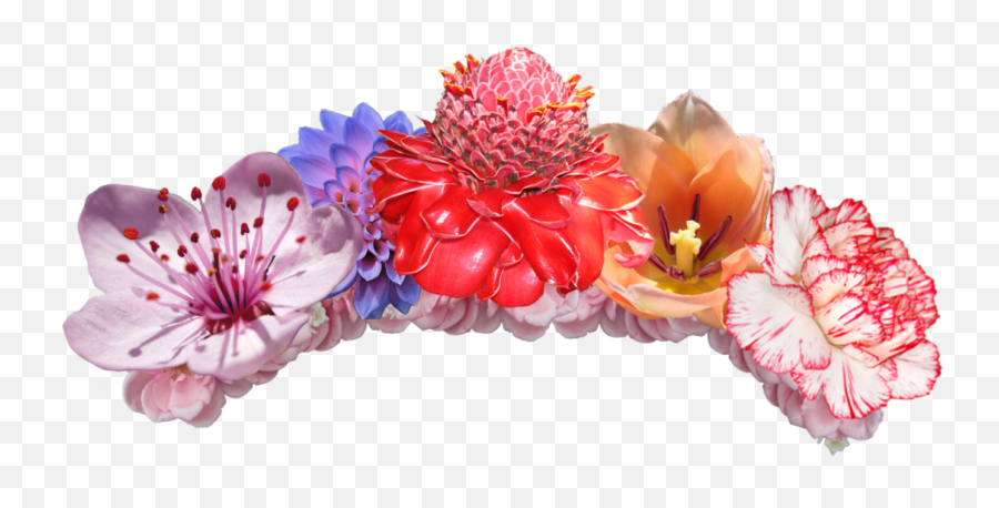 Flower Crowns Png Image - Flower Emojis Transparent Background,Flower Crown Transparent