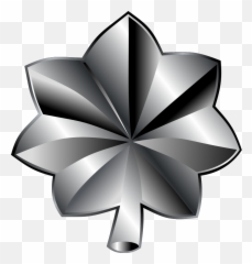 Us Army Ranks Military Wiki Fandom - Lieutenant Colonel Insignia Png,Us Army Png