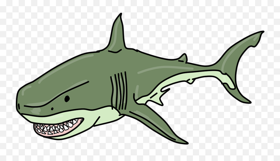 Fish Shark Aquarium - Free Vector Graphic On Pixabay Gambar Hewan Predator Hiu Png,Aquarium Png