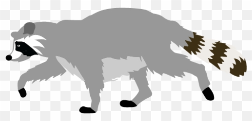 Cute Raccoon Clipart Animal Clip Arts - Transparent Racoon Clipart Png,Raccoon Transparent Background