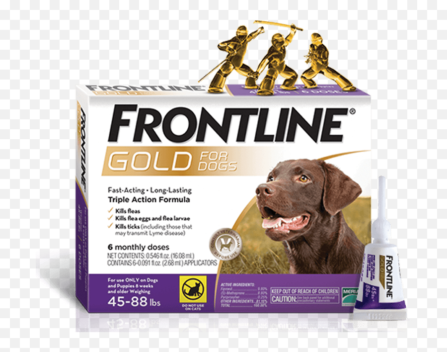 Triple Action Topical Flea U0026 Tick Treatment For Dogs Cats - Frontline Gold For Dogs Png,Dogs Transparent