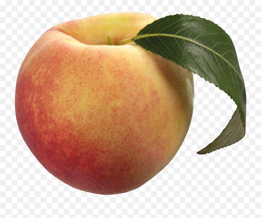 Peach Png Transparent Images - Peach Png,Peach Transparent Background